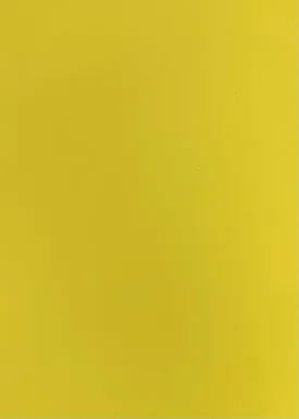240G TECHNO CREPE STRETCHED KNIT<br><h6>11MB-YELLOW BRT<br>201CRP-TECHNO</h6>