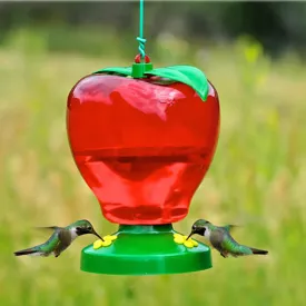 Apple Hummingbird Feeder